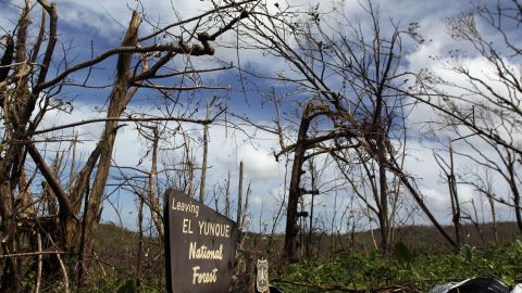 El Yunque National Forest after Hurricane Maria, on October 4, 2017.
