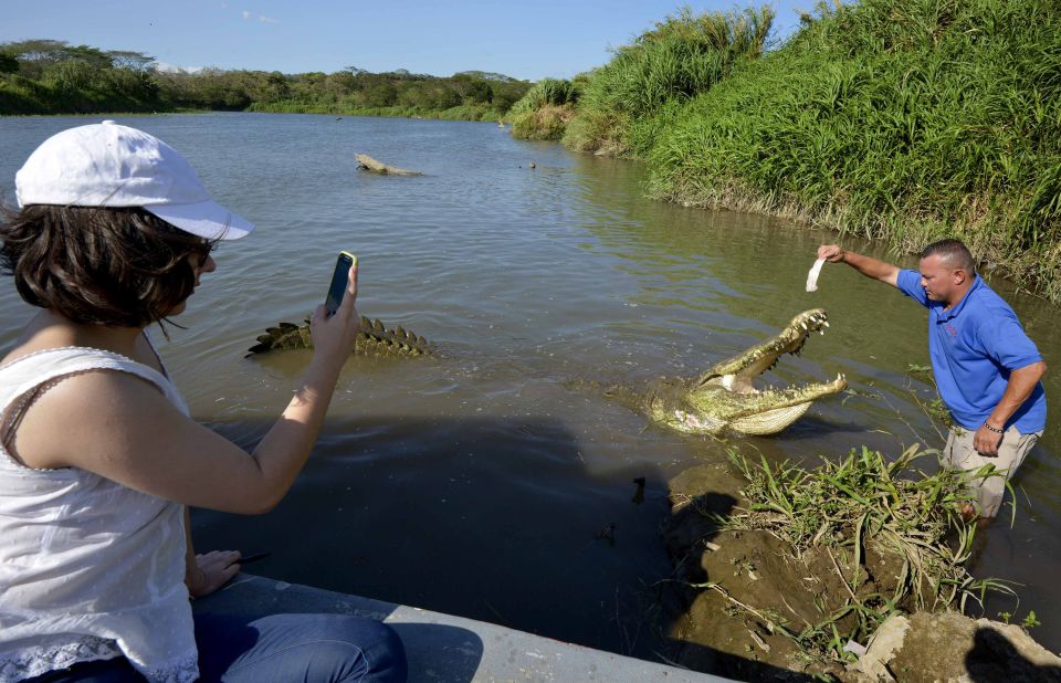 <strong>Photo op:</strong> Feeding the crocodiles is generally not advised, even if it looks cool on Instagram. 