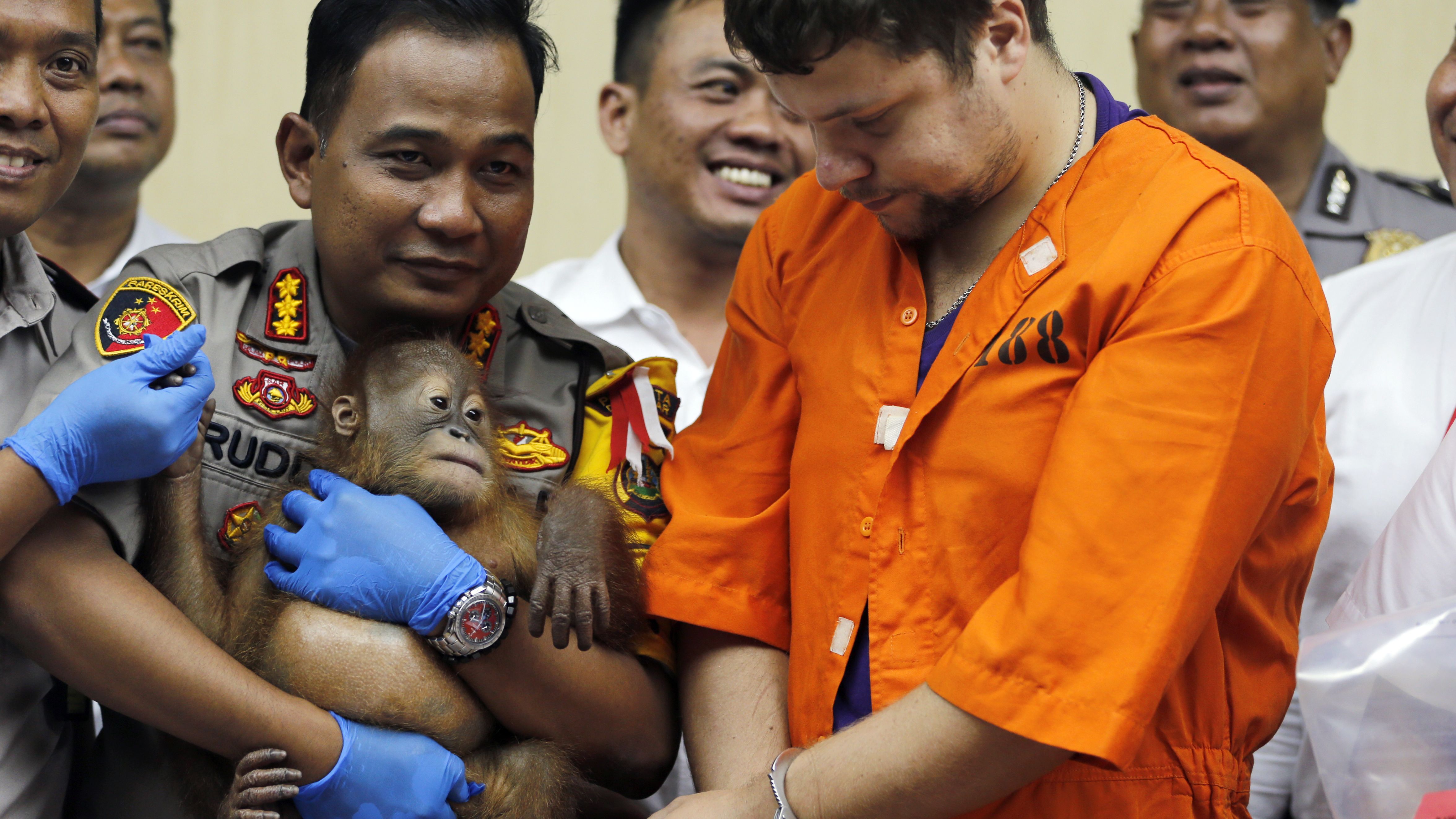 Denpasar police chief Ruddi Setiawan, center left, holds a two-year-old orangutan next to accused Russian Andrei Zhestkov, center right, in Bali on Monday.