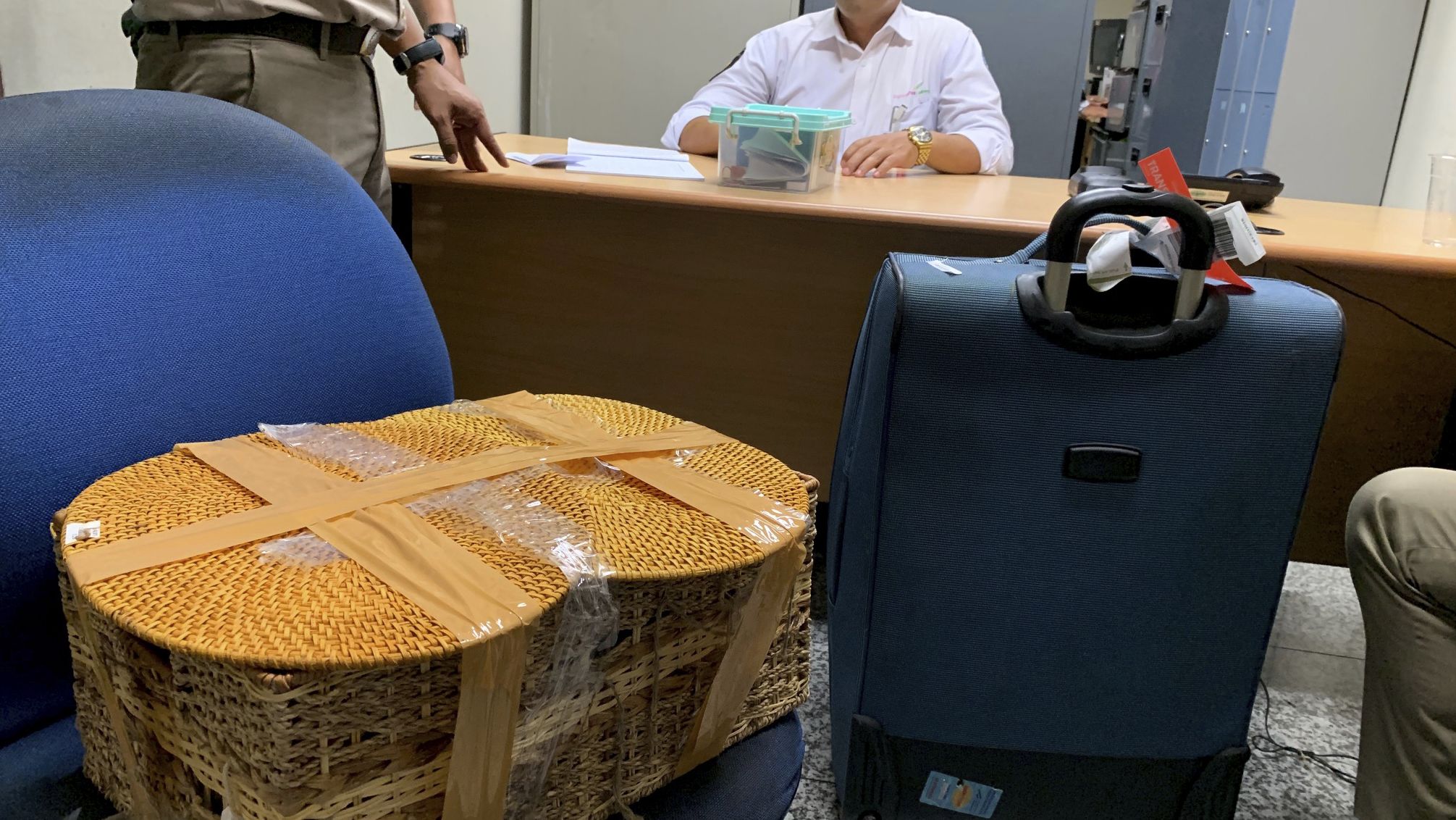 Indonesian officials sit in a room with the rattan basket allegedly used to smuggle a drugged orangutan out of the island.