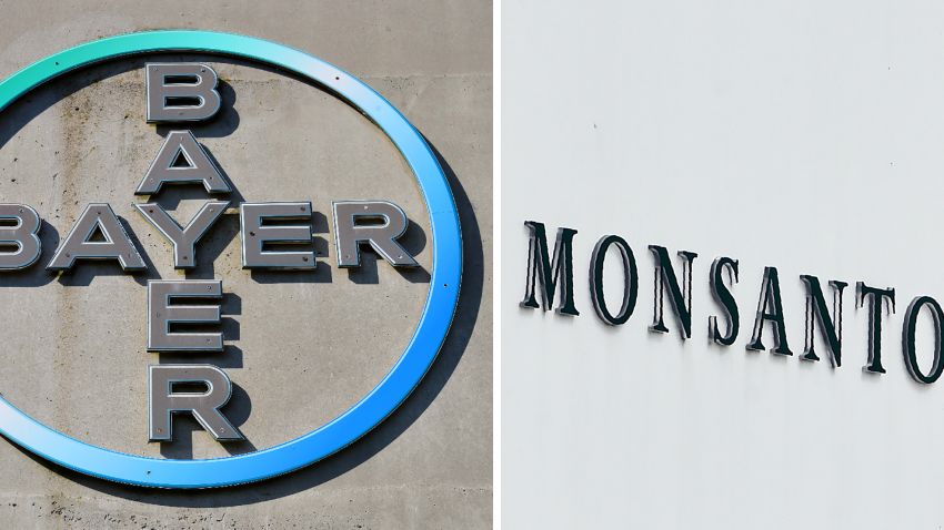 (COMBO) This combination of file pictures created on September 14, 2016 shows the logo of German pharmaceutical giant Bayer (L, on September 8, 2016 in Leverkusen) and the logo of Monsanto at it's Belgian manufacturing site and operations centre (on May 24, 2016 in Lillo near Antwerp). - German pharmaceutical and chemical group Bayer is preparing to increase its takeover offer for US seeds and pesticides giant Monsanto for a fourth time, a report said on September 13, 2016. (Photo by Patrik STOLLARZ and John THYS / AFP)        (Photo credit should read PATRIK STOLLARZ,JOHN THYS/AFP/Getty Images)