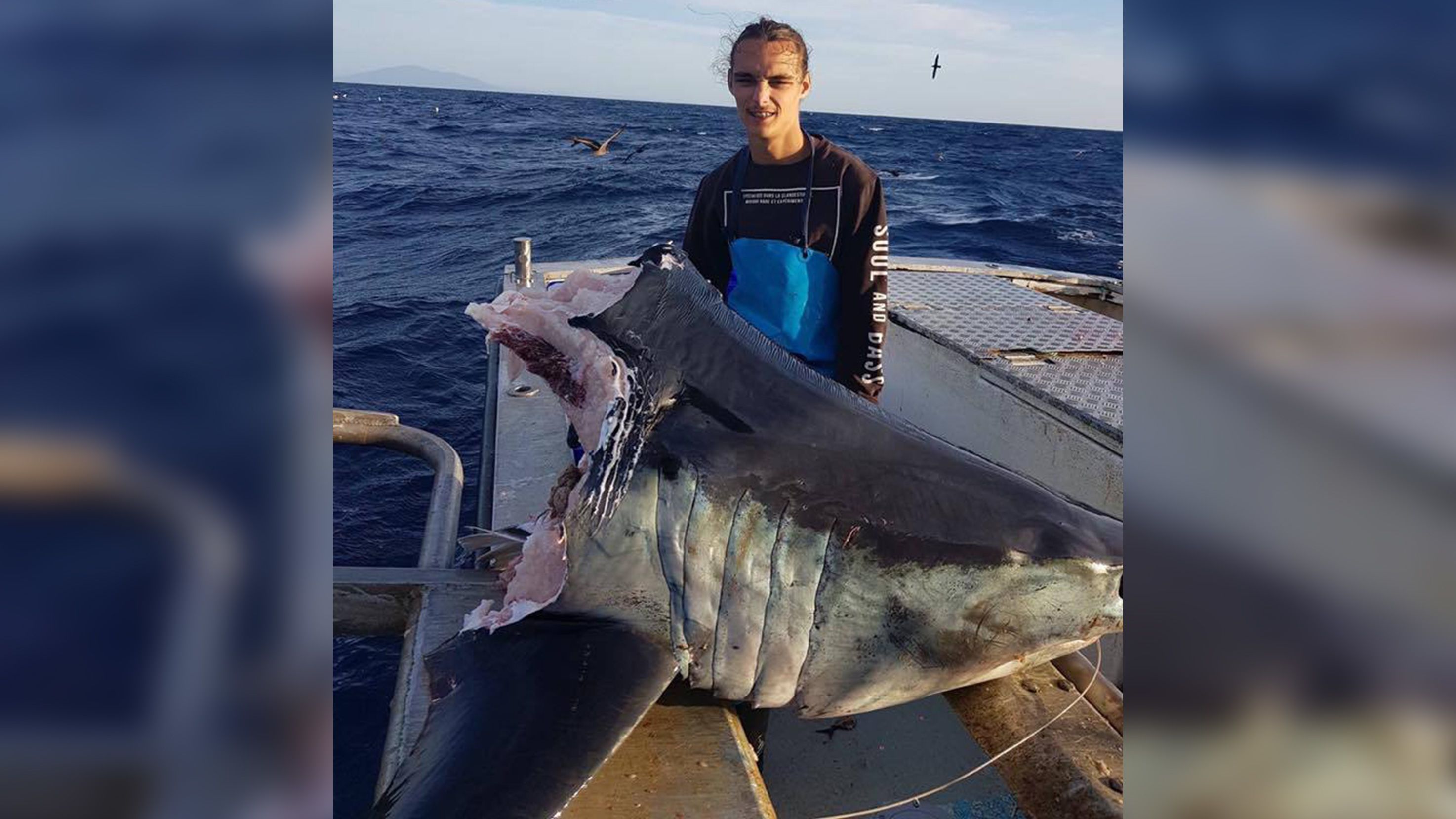 biggest shark in the world caught on video