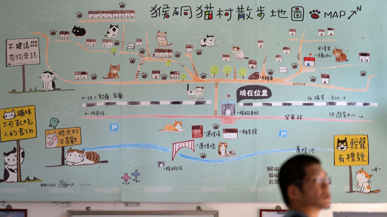 Cat-viewing maps help visitors plan feline-packed walking routes.
