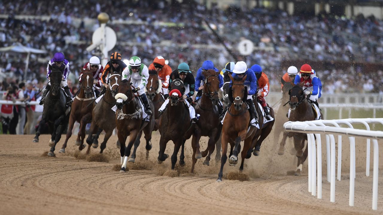 Horses gallop into the first turn in the $2.5-million Group 2 UAE Derby over 1900m in Dubai.
