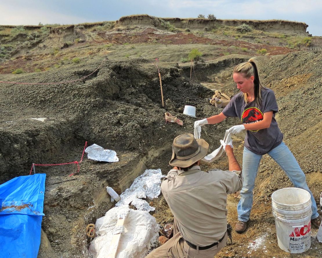 Robert DePalma (L) and field assistant Kylie Ruble (R) excavate fossil carcasses from the Tanis deposit in North Dakota.