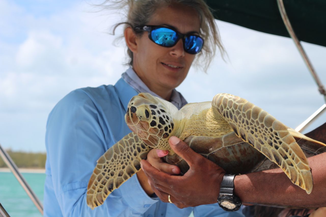 Annabelle Brooks takes a healthy green sea turtle aboard the boat.