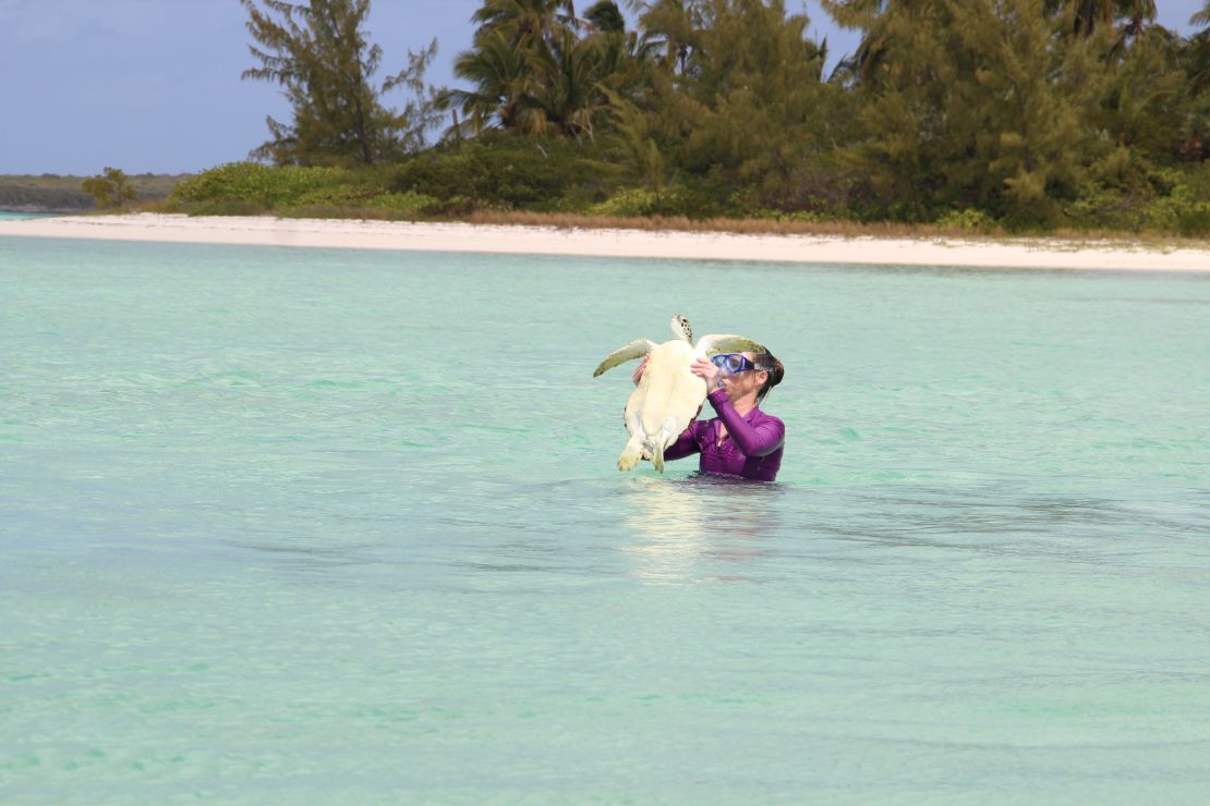 Kathryn Eckert emerges with a green sea turtle.