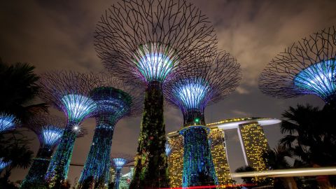 Singapore's Supertree Grove seen during a light show. The city state prides itself on its tech savviness, but this often goes hand in hand with heavy censorship. 