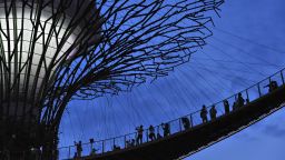 People take photographs on a suspension bridge along the Supertree at Garden by the Bay in Singapore on November 10, 2015. / AFP / ROSLAN RAHMAN        (Photo credit should read ROSLAN RAHMAN/AFP/Getty Images)
