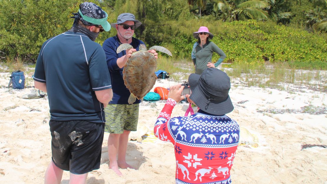 Volunteer Wyn Morris holds up a turtle so that its shell can be photographed.