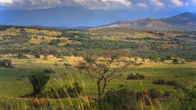 NextImg:Manhunt underway as newlyweds killed on honeymoon in Uganda | CNN