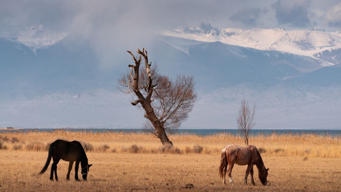 Kyrgyzstan is home to a staggering diversity of landscapes. 