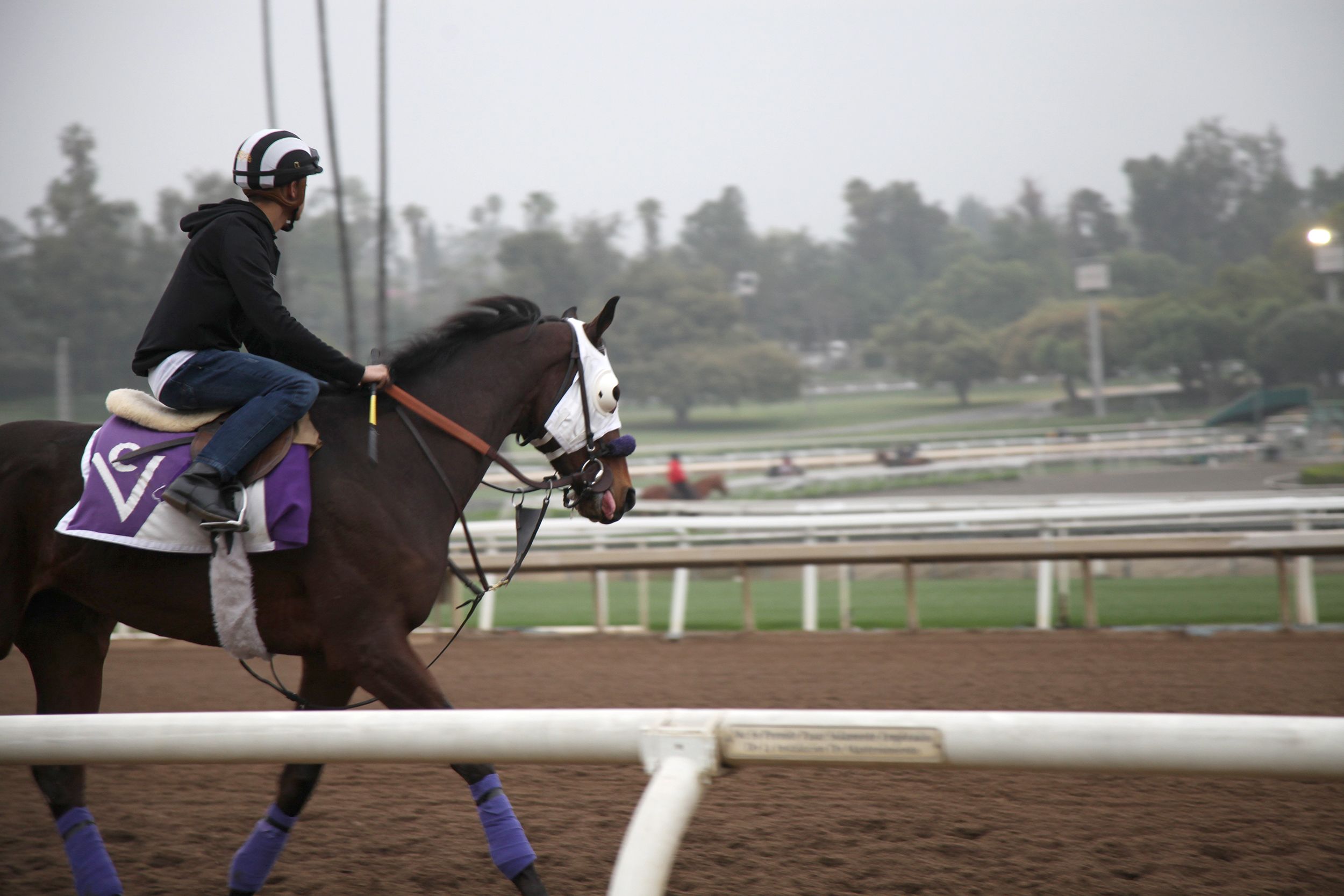 190404152314-02-santa-anita-park-0404.jpg?q=w_2500,h_1667,x_0,y_0,c_fill