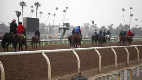 Horses exercise during a morning training session at Santa Anita Park in April.