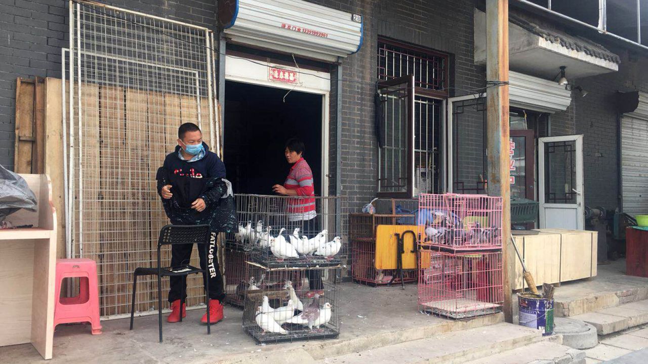 A pigeon seller in Beijing. The sport is big business -- a Chinese bidder recently paid $1.4 million for a prized racer.