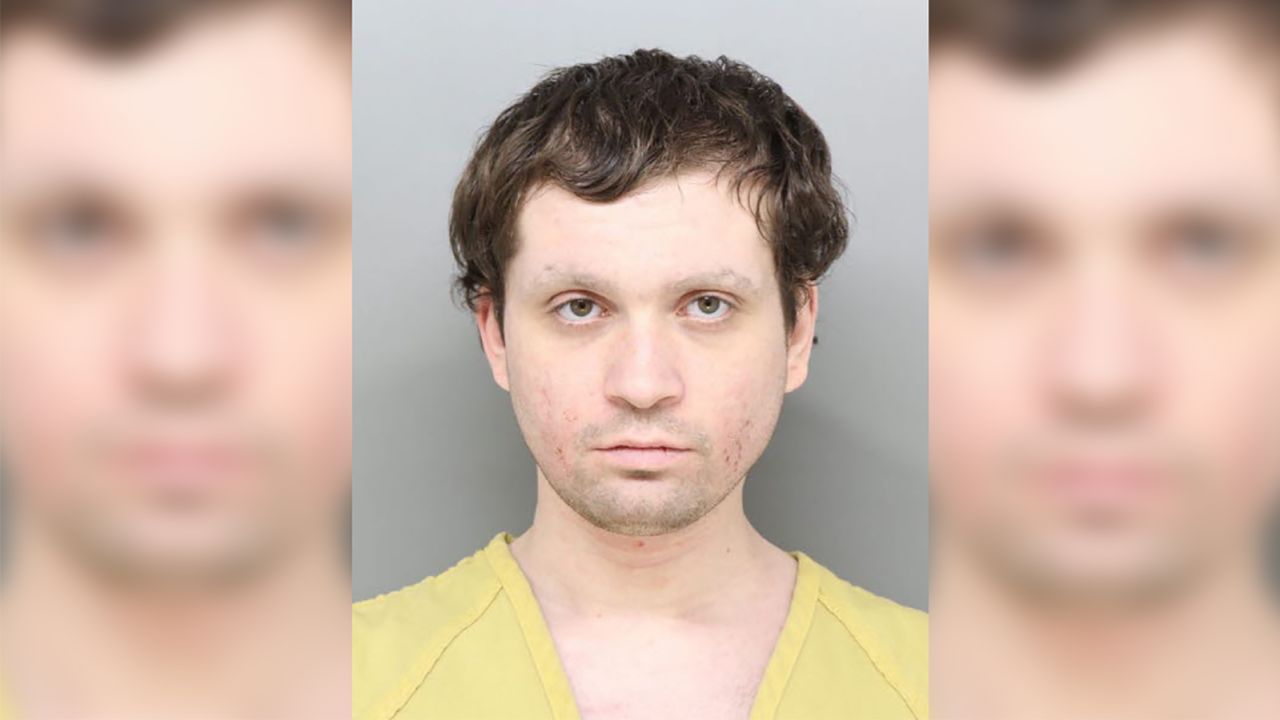 Brian Michael Rini, 23, has a history of legal troubles, his brother says.