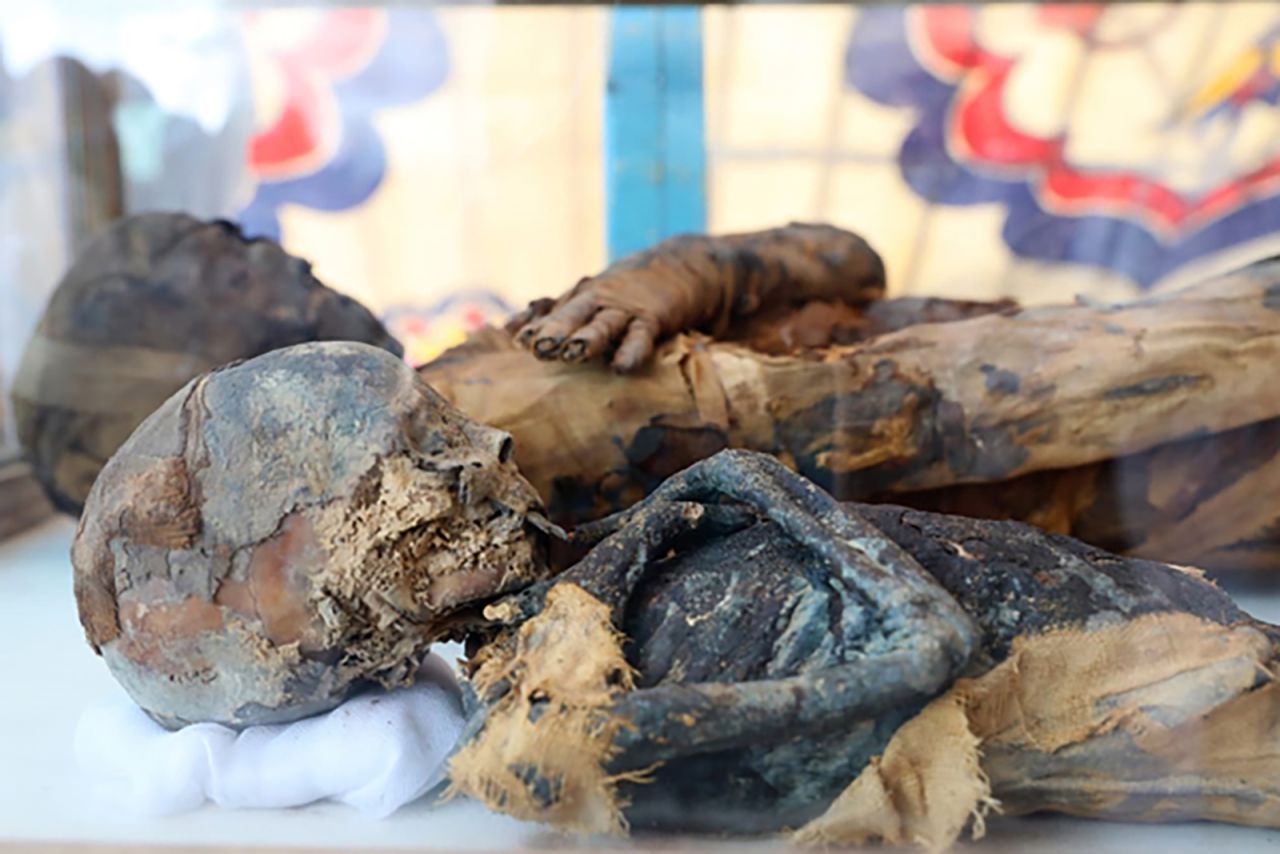 One preserved human mummy was also found in the tomb.
