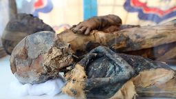 Egypt discovers a new tomb with a perfectly preserved human mummy and dozens of mummified animals. 