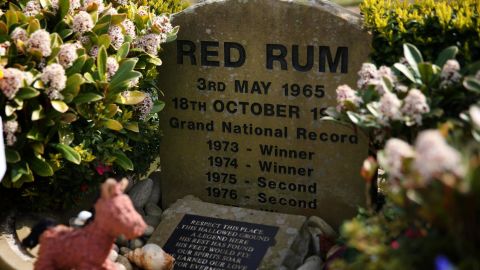 Tiger Roll emulated Red Rum at the Grand National. 