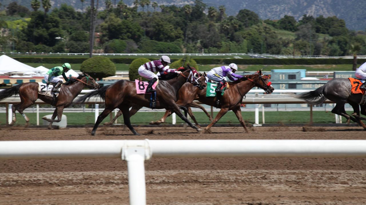CNN is covering Derby Day at embattled race track Santa Anita Park - where 23 horses have died on the track since December.