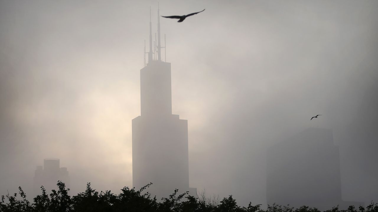 Chicago was the most dangerous city in the USA for migrating birds.