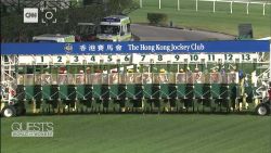 Quest's World Of Wonder Hong Kong horse racing vision _00012804.jpg