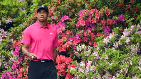 Tiger Woods of the US walks past blooming azaleas April 7, 2015 at Augusta National Golf Club in Augusta, Georgia during a practice round for the 2015 Masters Golf Tournament.  AFP PHOTO /  TIMOTHY  A. CLARY        (Photo credit should read TIMOTHY A. CLARY/AFP/Getty Images)