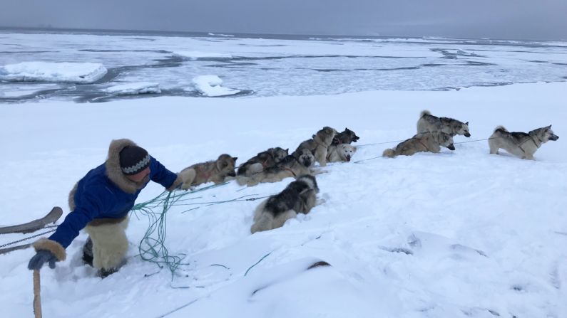 <strong>Recreational activities: </strong>In their spare time, locals go dog sledding along the snowy ravines and later feed their animals with seals harpooned from the icy rocks.
