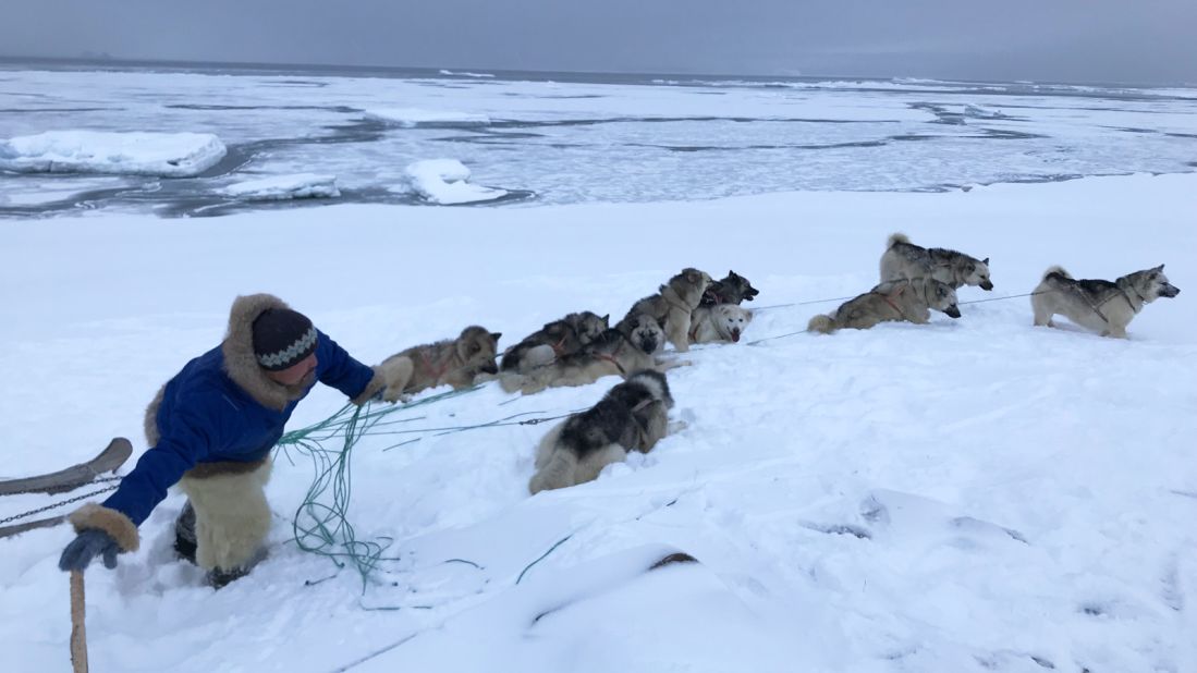 <strong>Recreational activities: </strong>In their spare time, locals go dog sledding along the snowy ravines and later feed their animals with seals harpooned from the icy rocks.