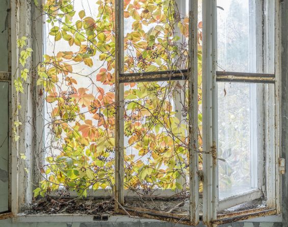 "I guess it was heartening to see this kind of regrowth, and inevitable to see culture vanishing," said McMillan. 