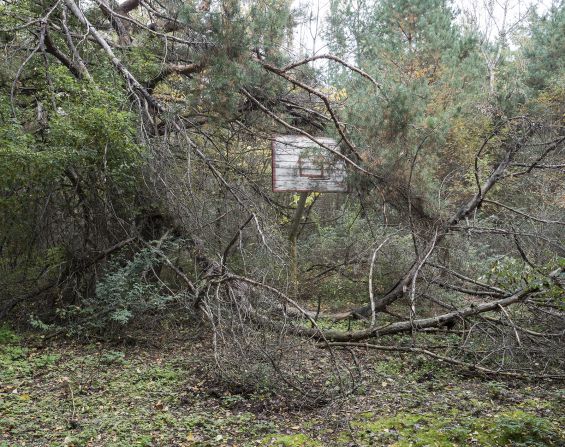 Landscapes in his photos, while bleak, feature blossoming plants and trees bursting through manmade structures. 