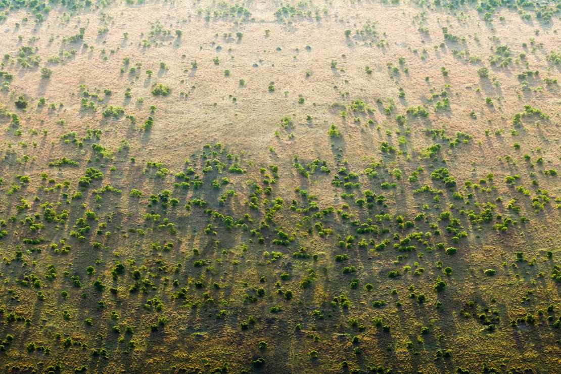 Africa's "Great Green Wall" aims to slow down desertification.