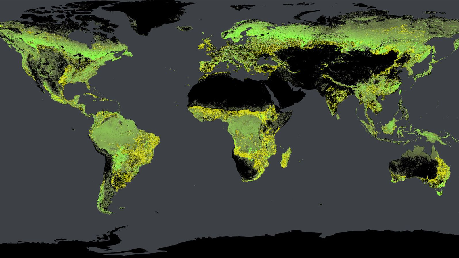 Global tree density, calculated by Crowther's team. Existing forests are shown in green, potential forests are yellow.