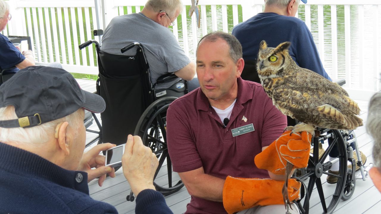 Vallieres shows an owl to a veteran during a demonstration at the New Hampshire Veterans Home. 