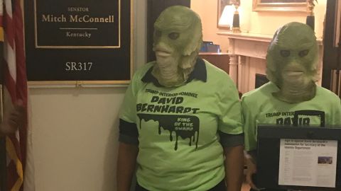 Swamp protestors RESTRICTED