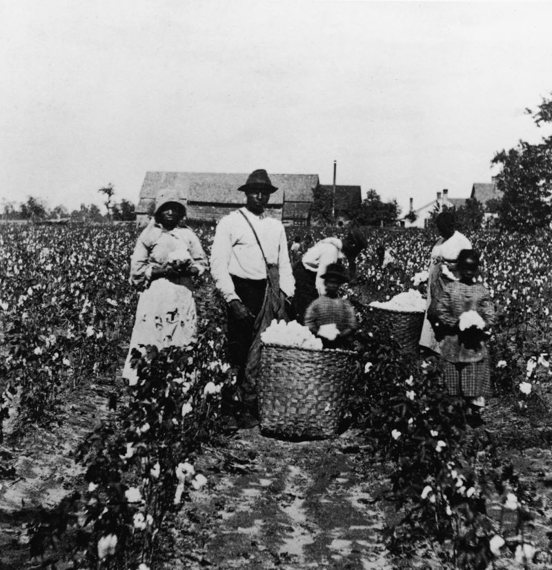 black person picking cotton        
        <figure class=