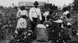 African American men, women and children pick cotton in a cotton field and place it in straw bushel baskets, circa 1890. (Photo by Lightfoot/Getty Images)