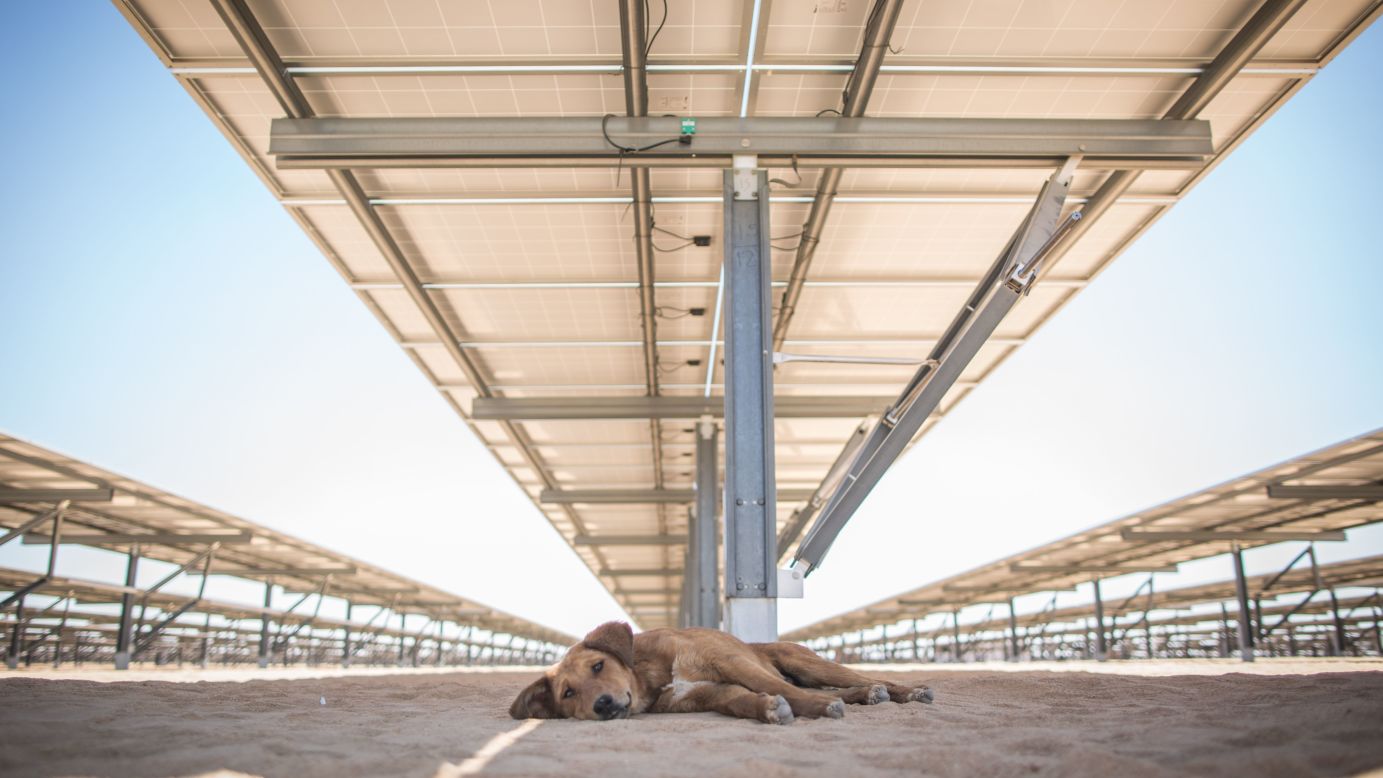 Inaugurated in March 2018, the Infinity 50 Solar Park in southern Egypt is the first of a reported 32 stations that will comprise the Benban Solar Park. Benban's total capacity once completed has multiple projections, from <a href="https://www.ebrd.com/news/2019/first-ebrd-funded-egyptian-solar-plant-begins-generation-.html" target="_blank" target="_blank">1,465 </a>to <a href="https://www.weforum.org/agenda/2019/01/egypt-is-building-one-of-the-worlds-largest-solar-parks/" target="_blank" target="_blank">1,650 </a>to <a href="https://www.acciona-energia.com/pressroom/news/2019/february/acciona-swicorp-complete-assembly-three-photovoltaic-plants-ownership-egypt/" target="_blank" target="_blank">1,800 megawatts</a>.<br />