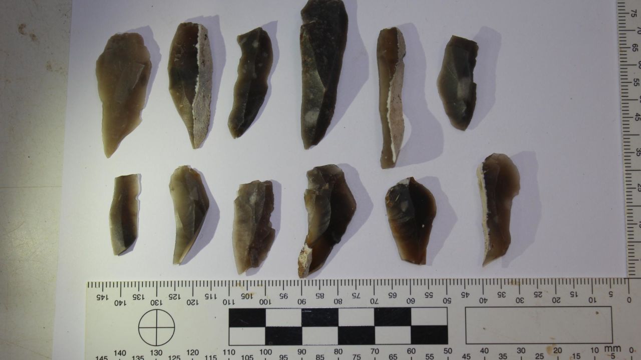 A collection of prehistoric flint tools.