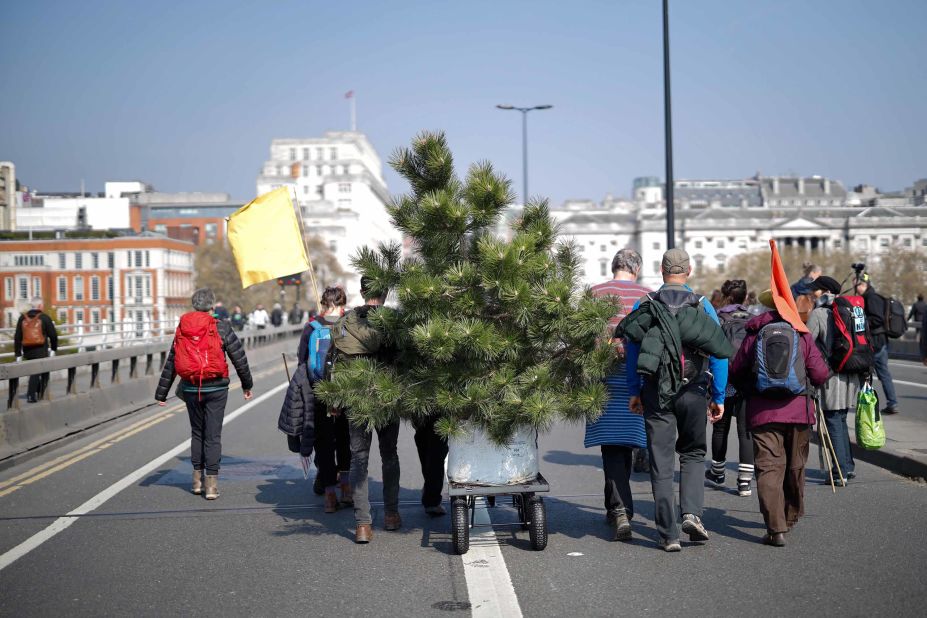 Environmental protesters from the Extinction Rebellion group arrive with a tree to stage a demonstration on Waterloo Bridge. Protesters placed plants along the length of the bridge on April 15.