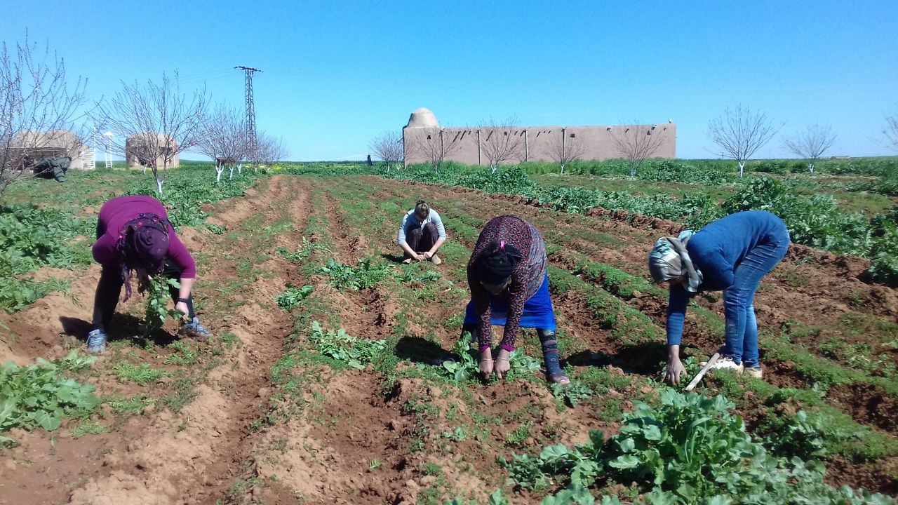 Syrian women in Jinwar rely on each other for farming and planting their own food.