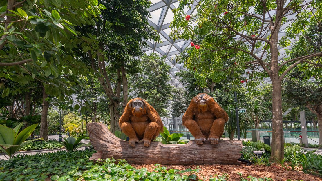 The Topiary Walk at Jewel Changi Airport's Canopy Park. 