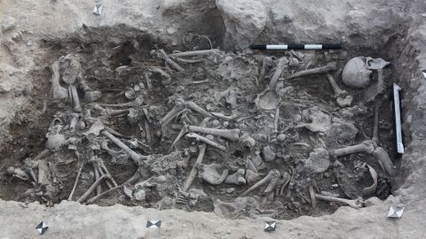 The bones of Crusaders found in a burial pit in Sidon, Lebanon.