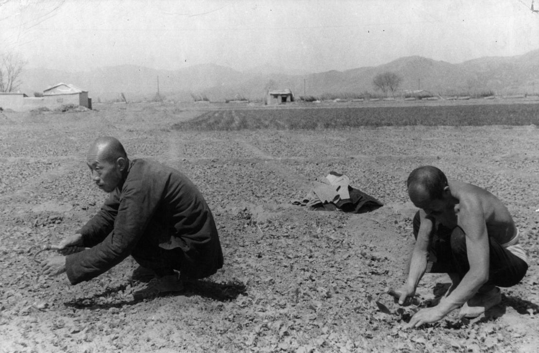 Farmers work in the cooperative collective farm in 1950 near Beijing, China. 