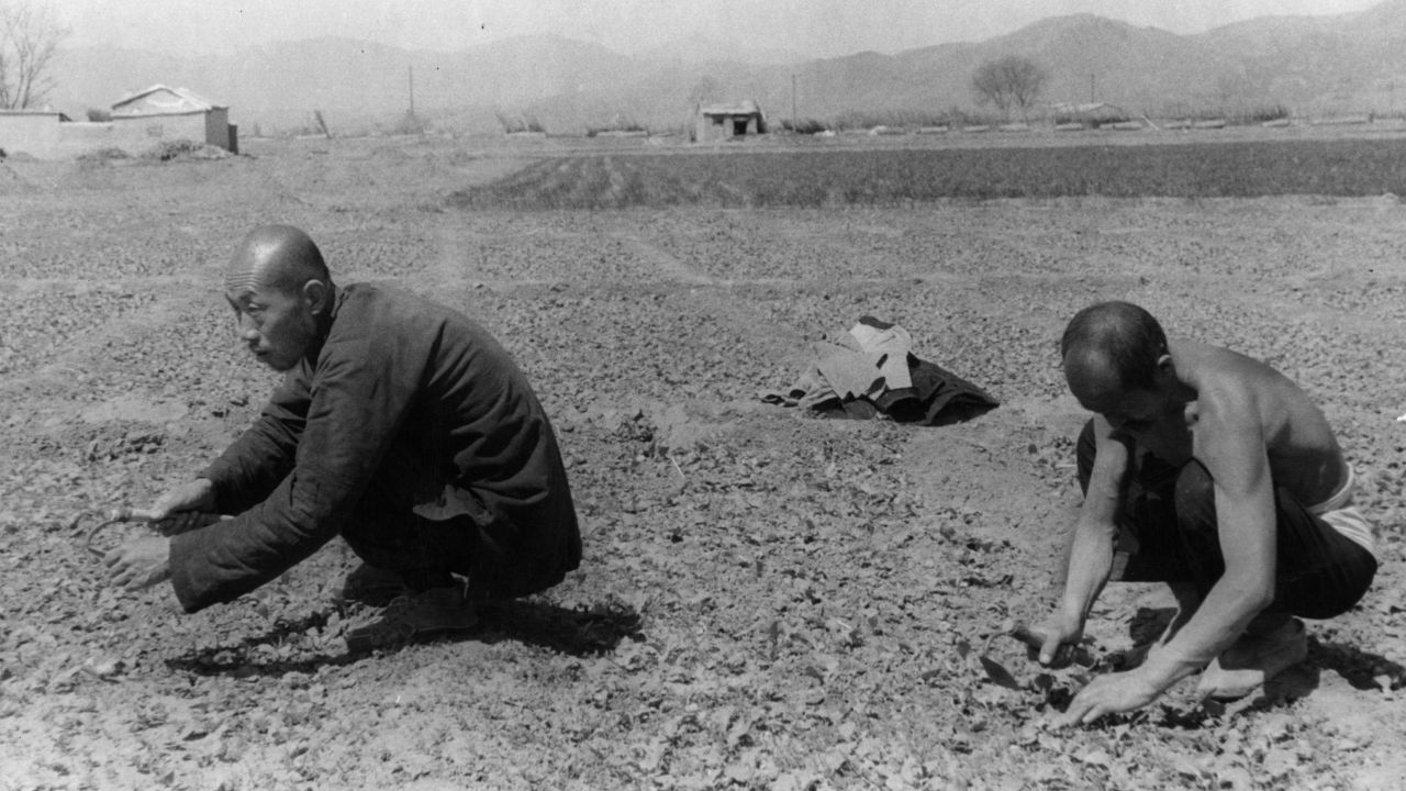 Farmers work in the cooperative collective farm in 1950 near Beijing, China.