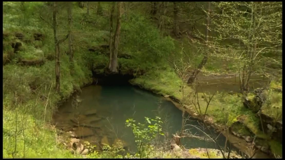 This is the area around the cave site in Tennessee.