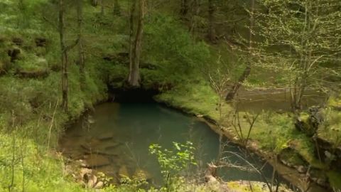 This is the area around the cave site in Tennessee. 