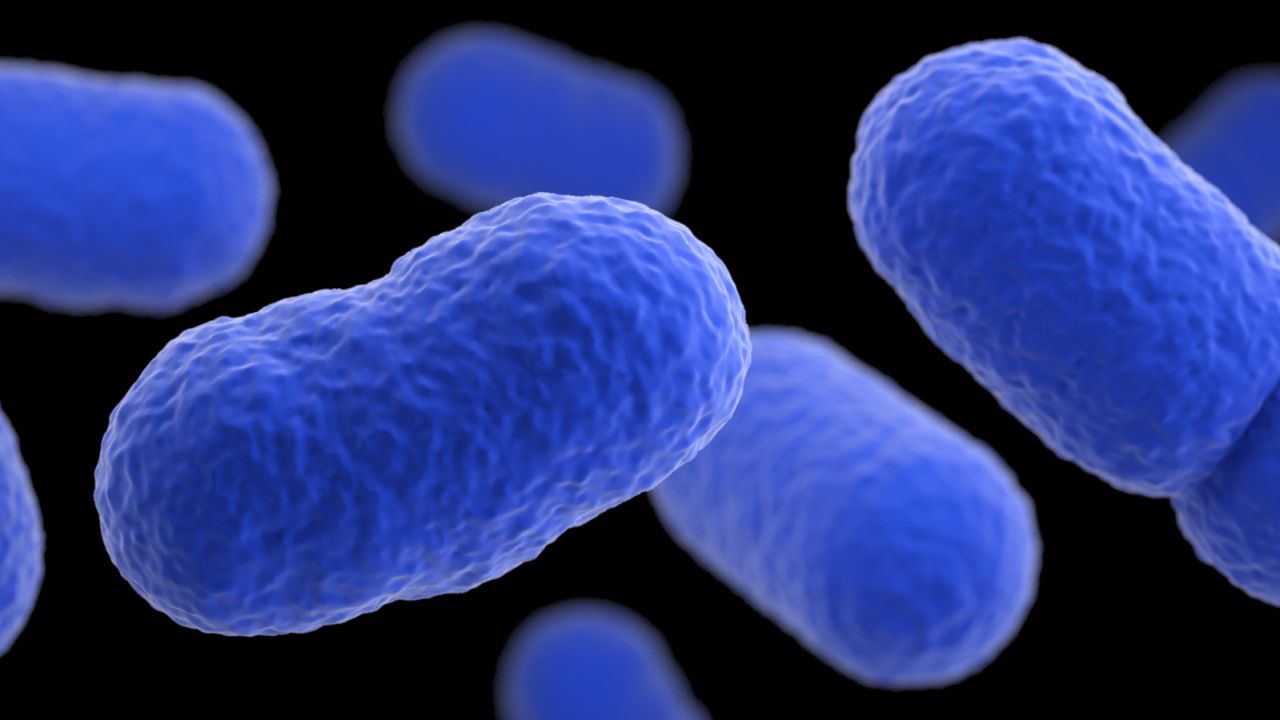 This illustration depicts a three-dimensional (3D) computer-generated image of a grouping of Listeria monocytogenes bacteria. The artistic recreation was based upon scanning electron microscopic (SEM) imagery.