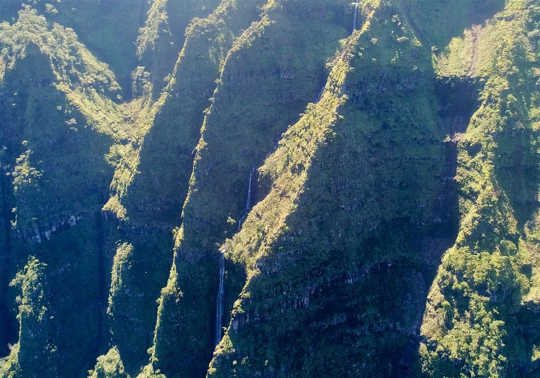View from the drone of the cliff where the plant was rediscovered. 