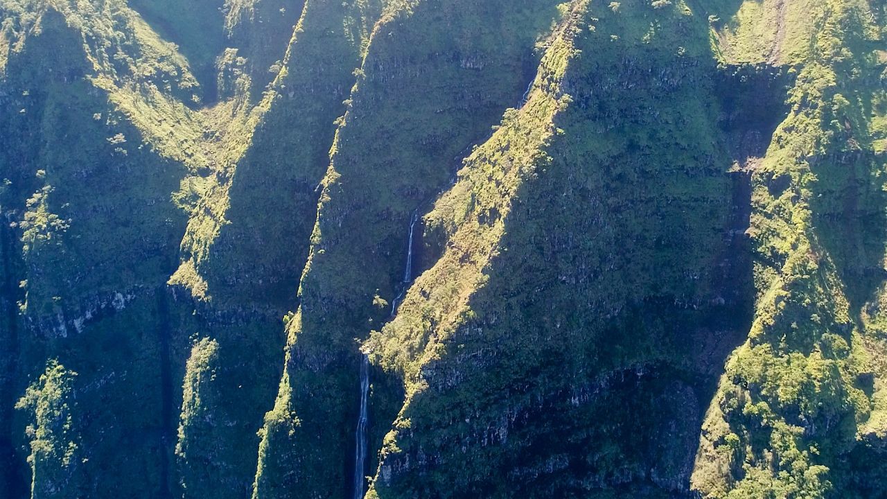 View from the drone of the cliff where the plant was rediscovered. 